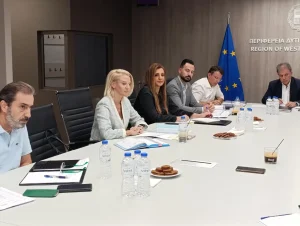 amanatidis-synantisi-3-hpe