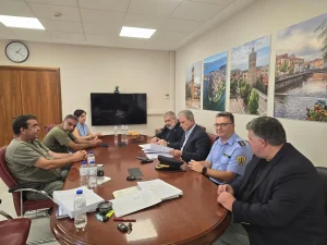 amanatidis-vyzas-exomoiotis-pyrkagias-2